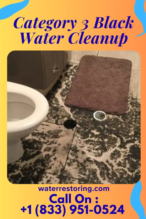 Category 3 Black Water Cleanup in Foster, NE