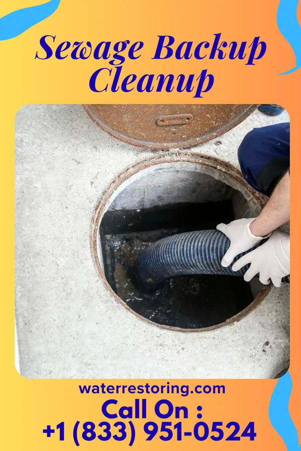 Sewage Backup Cleanup in Foster, NE